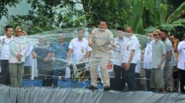 Gubernur Lampung, Arinal Djunaidi saat panen perdana Udang Vaname, Rabu (05/07/2023). (foto: ist)