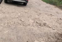 Ruas Jalan Srimulyo, Desa Negeri Sakti, Kecamatan Gedong Tataan Kabupaten Pesawaran. (foto: ist)