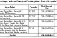Kekurangan volume pekerjaan proyek di Dinas PKPCK Provinsi Lampung tahun 2024. (foto: ist)