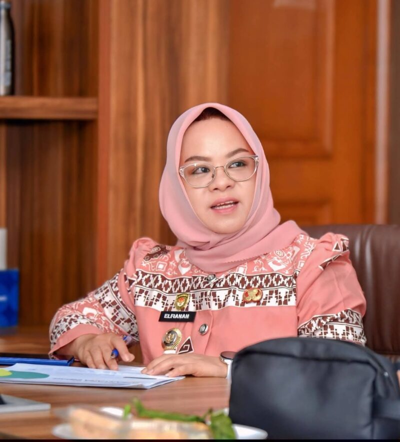 Bupati Mesuji, Hj Elfianah. (foto: istimewa)